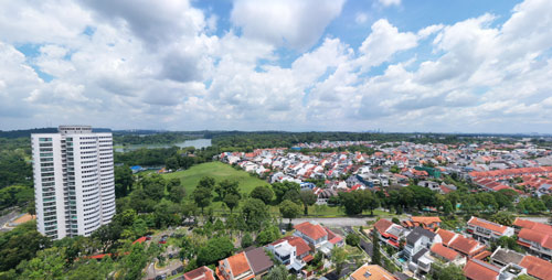 AMO Residence Drone View